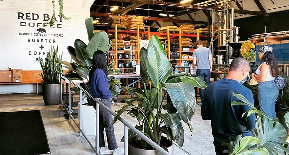 Torr&eacute;facteurs &agrave; caf&eacute; Red Bay