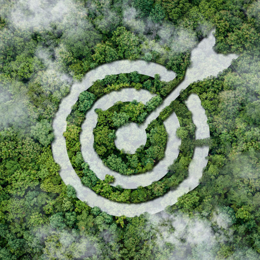 Emballage durable : ouvrir la voie à un avenir plus vert