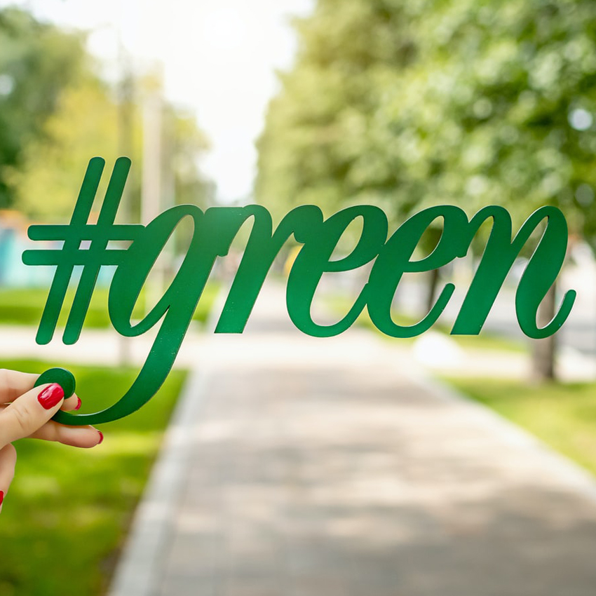 Adopter un avenir respectueux de l'environnement : une plongée dans les alternatives durables aux plastiques traditionnels