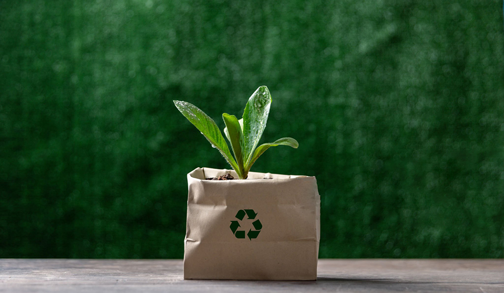 solutions d'emballage &eacute;cologiques