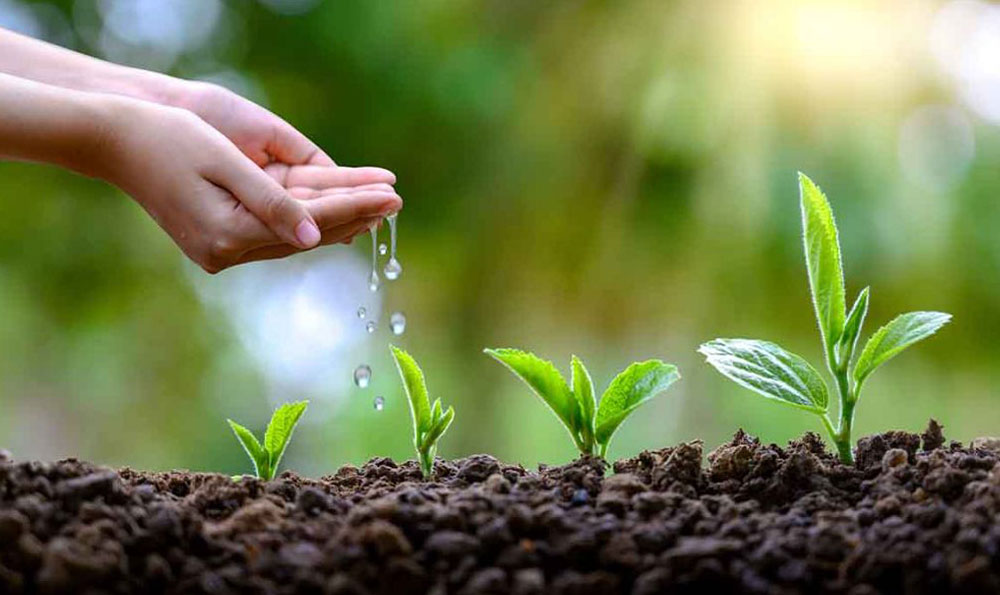 compostable &agrave; film flexible