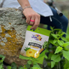Sachets de fruits secs recyclables