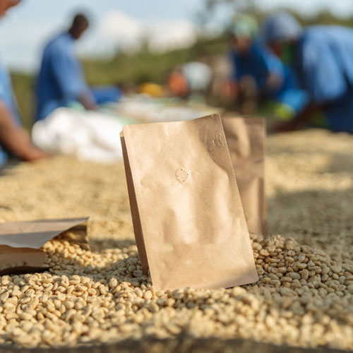 Comment les torréfacteurs de café spécialisés peuvent conduire l'économie circulaire