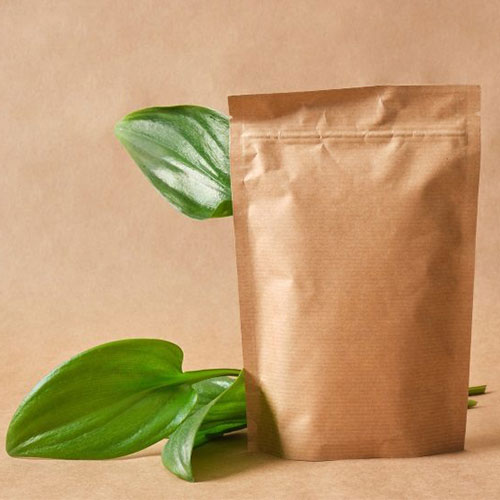 Les sacs en papier sont-ils biodégradables ?