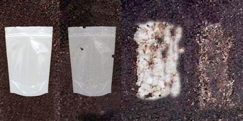 sacs en plastique biod&eacute;gradables