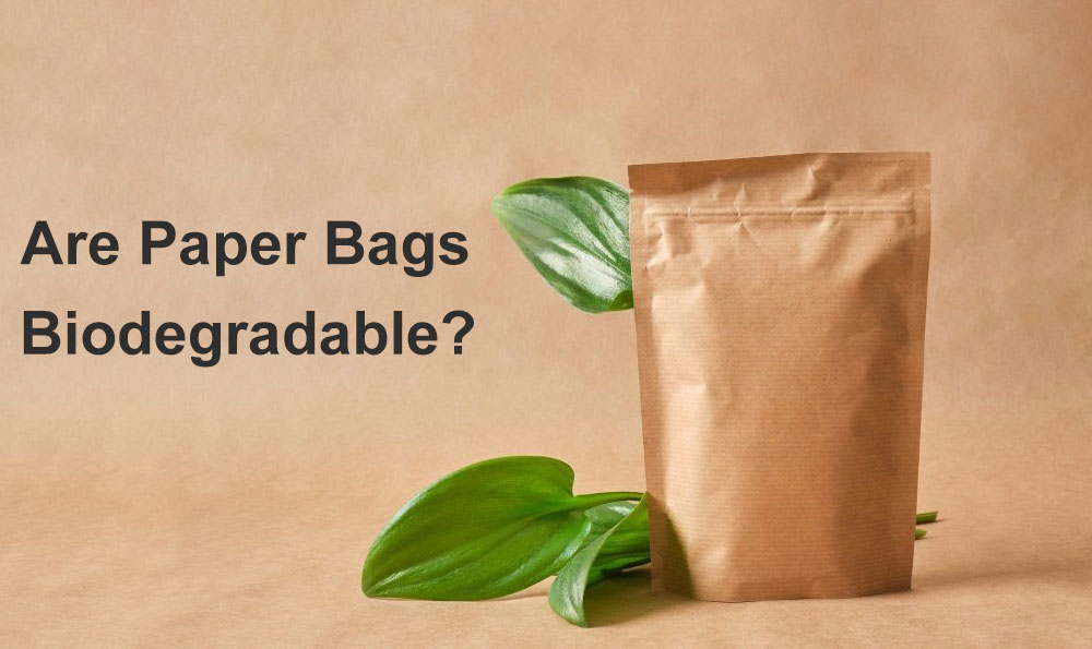 sont-des-sacs-en-papier-biod&eacute;gradables