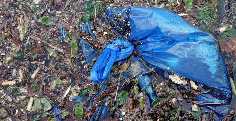 sacs compostables biod&eacute;gradables