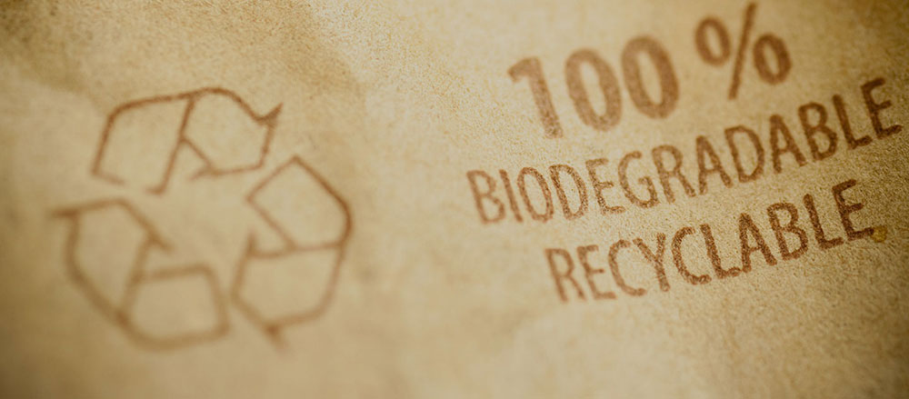 papier-biod&eacute;gradable