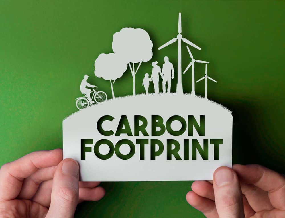 Emballage écologique pour réduire l'empreinte carbone