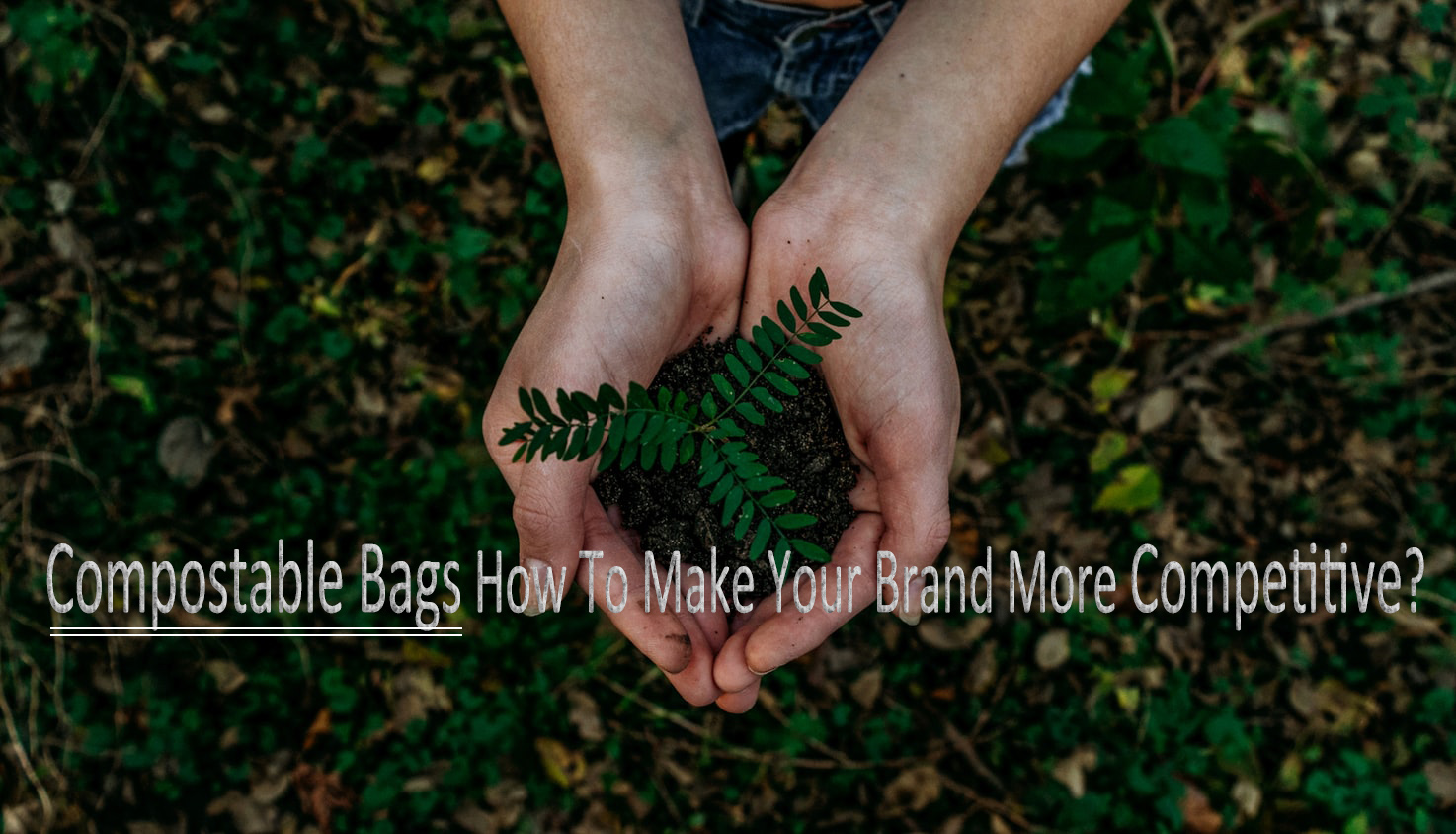 Sacs compostables Comment rendre votre marque plus compétitive ?