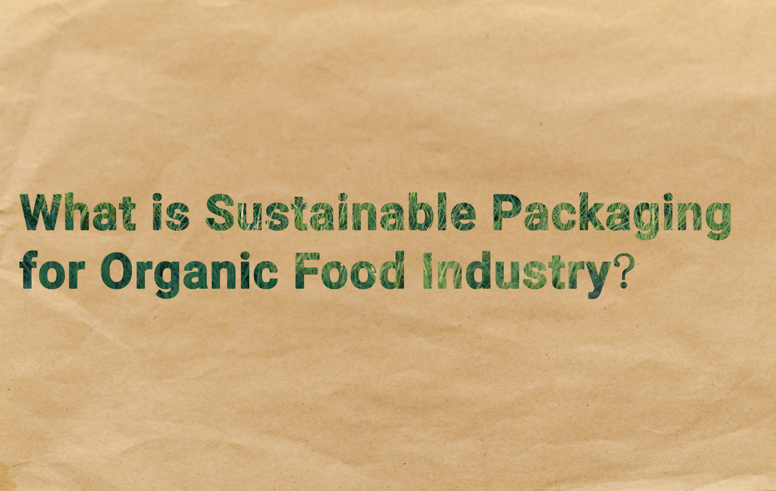 Qu'est-ce qu'un emballage durable pour l'industrie alimentaire biologique ?
