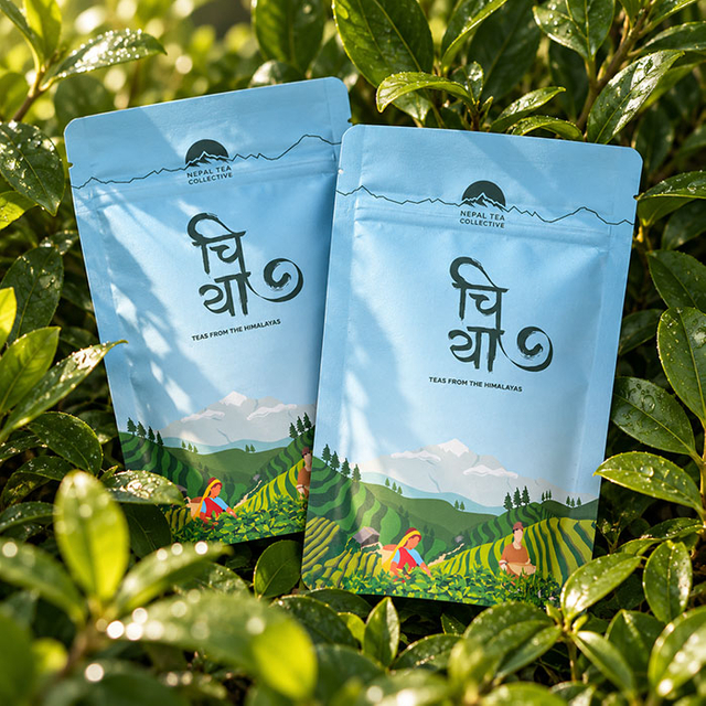 Sachets de thé debout compostables personnalisés 